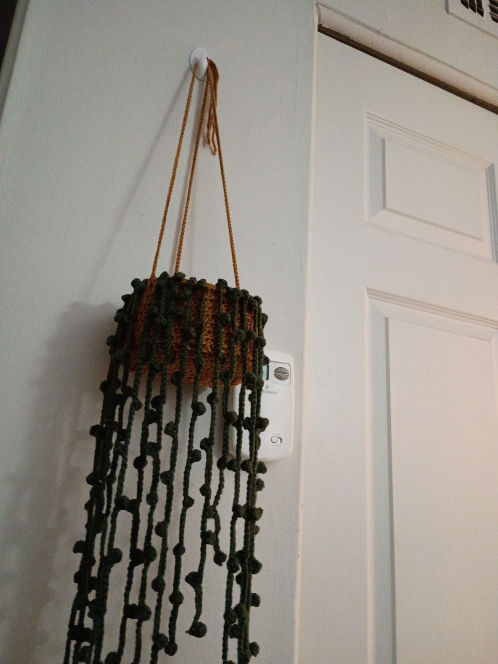 Crochet Hanging Houseplant